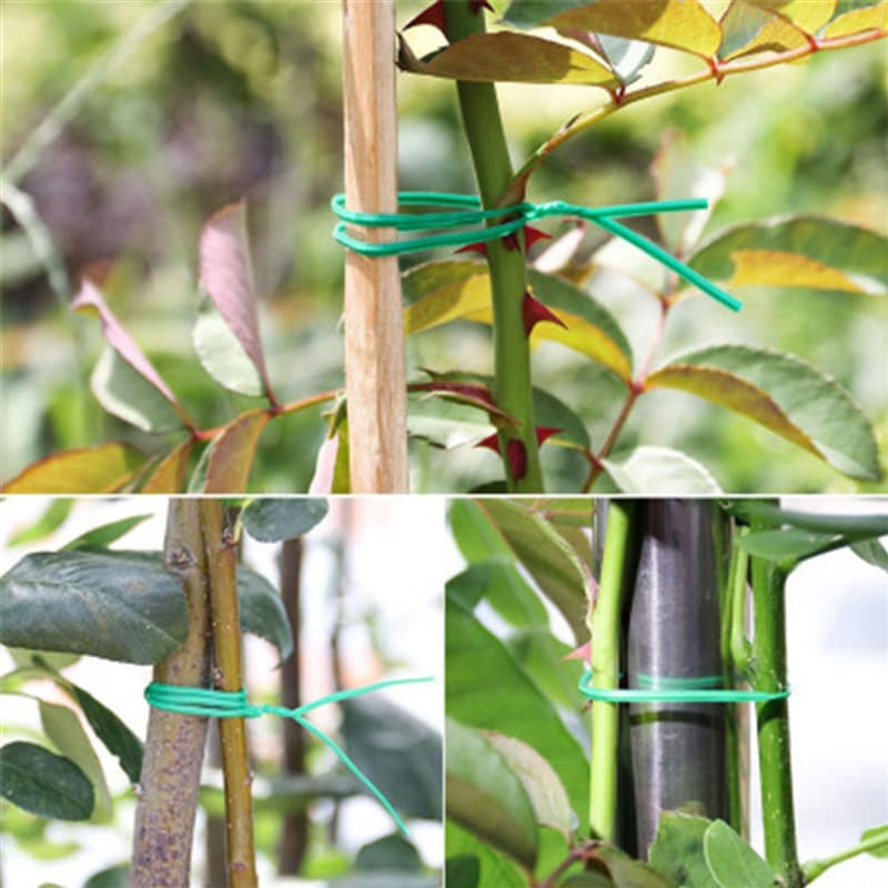 CARLO 50m Rollo Y Cortador De Alambre Green Tie For Plantas De Jardin — foto 3